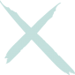 Logo Express Bewust X